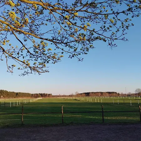 Ferienwohnung Appartement Adelheidsdorf