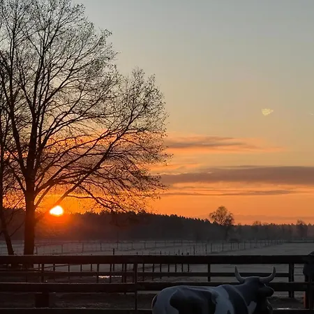 Ferienwohnung Appartement Adelheidsdorf